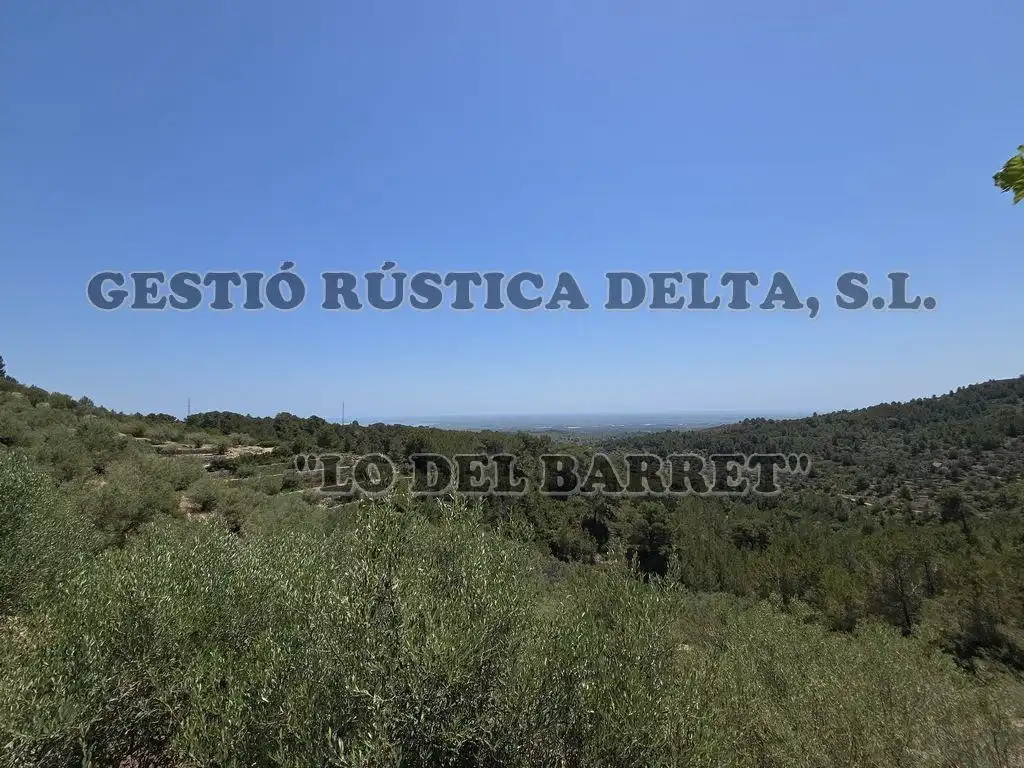 Country homes for sale in Tortosa  with Terrace