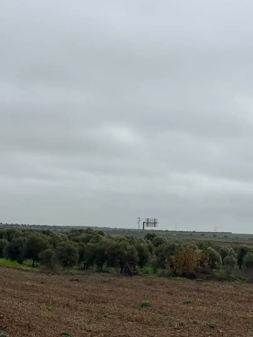 Terreno rustico in vendita a La Orden, imagen 2
