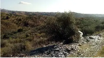 Terrain rustique à vendre à Pr. Lomas del Flamenco, imagen 8