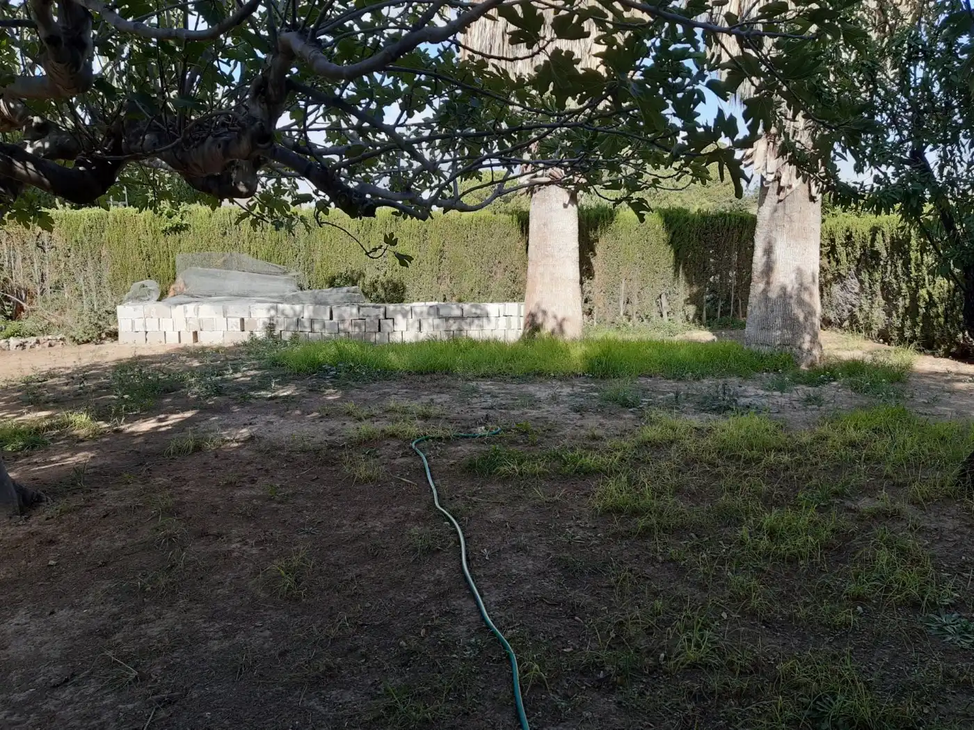 Casa o chalet en venta en Novelda