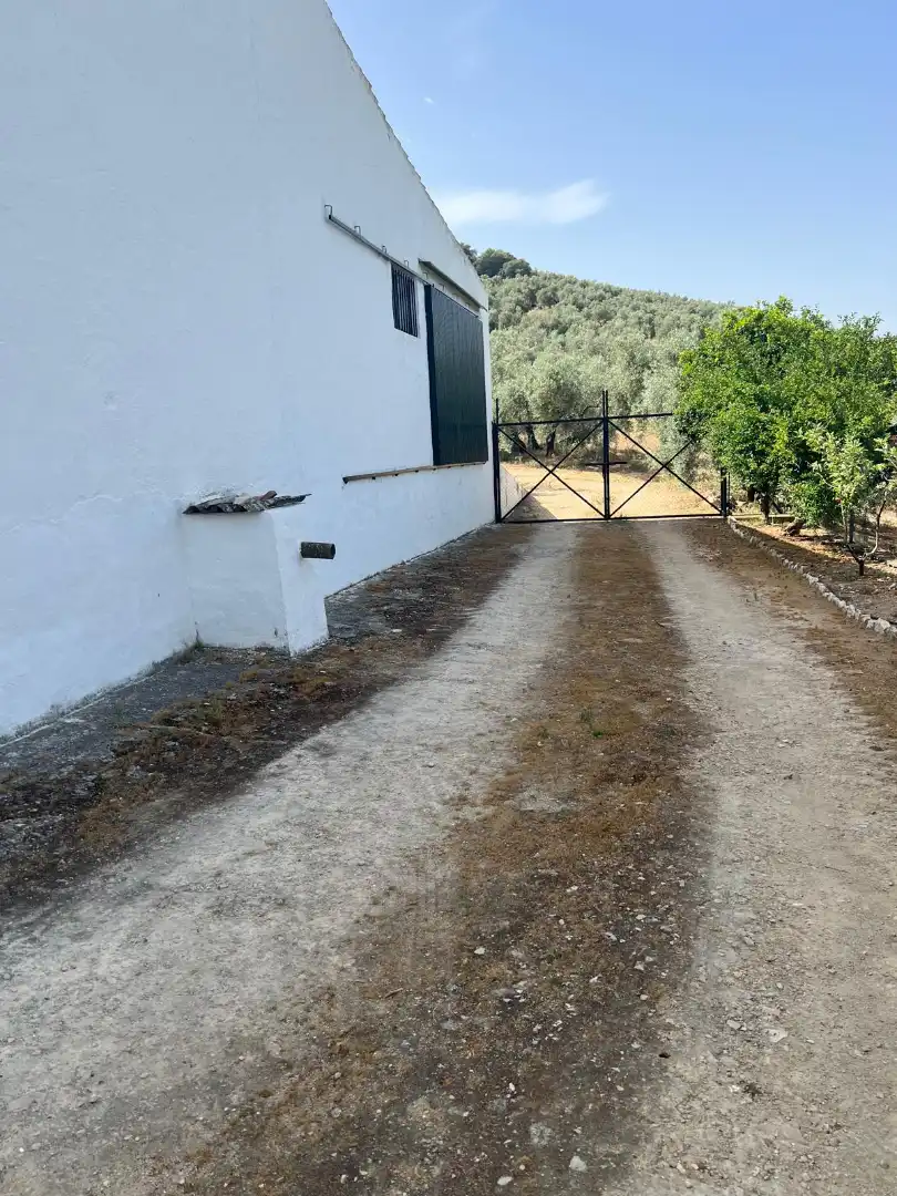 Terreno rustico in vendita a Cabra, imagen 8