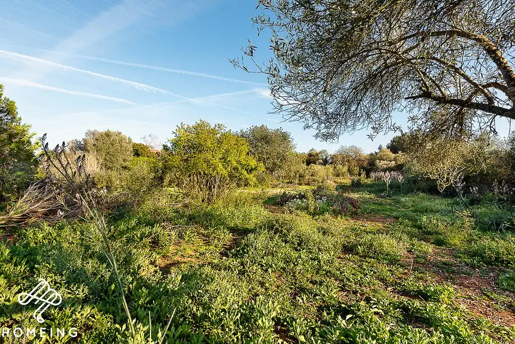 Finca rústica en venda en Algaida amb Terrassa