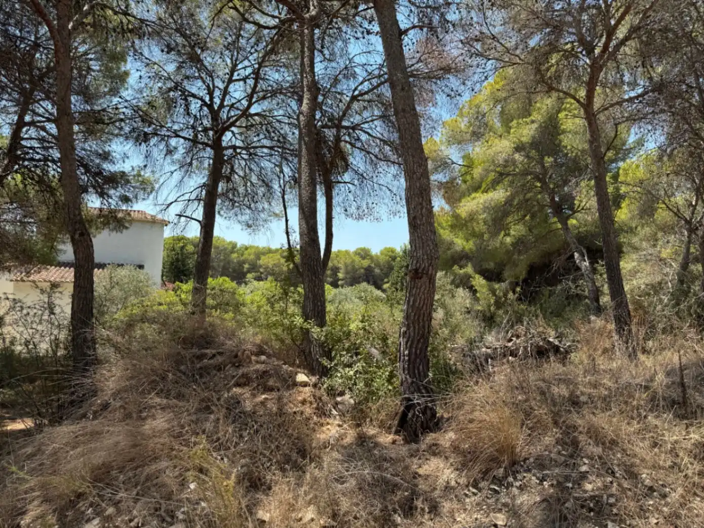 Terreny residencial en venda a Pinar del Advocat - Cometa, imagen 15