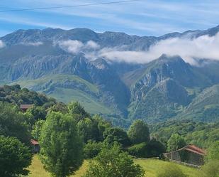 Exterior view of Single-family semi-detached for sale in Cabrales  with Private garden