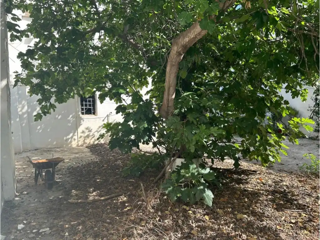 Finca rústica en venta en Altura