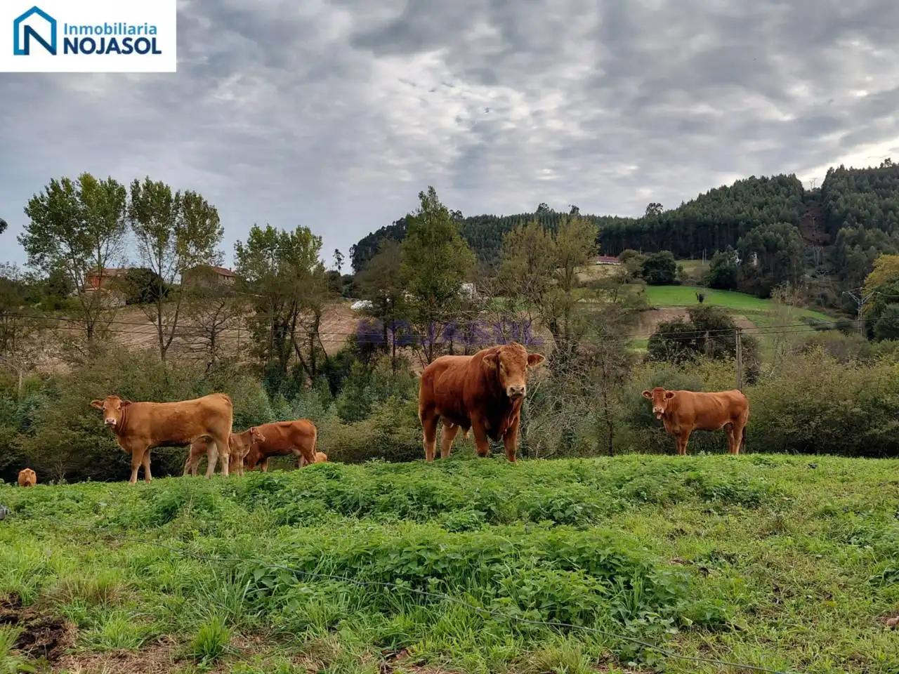 Vista exterior de Finca rústica en venta en Meruelo, Cantabria