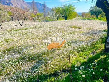 Terreni e lotti in vendita a Vélez-Blanco