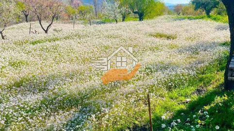 Terreno en venta en VélezBlanco.