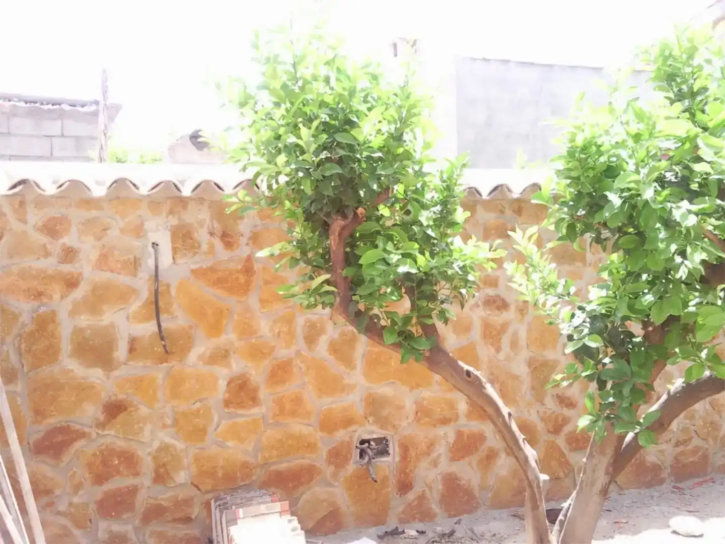 Jardí de Casa adosada en venda en Lorca