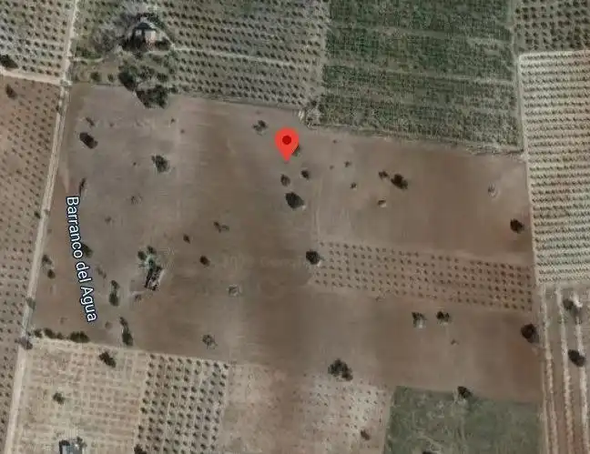 Finca rústica en venta en Salar