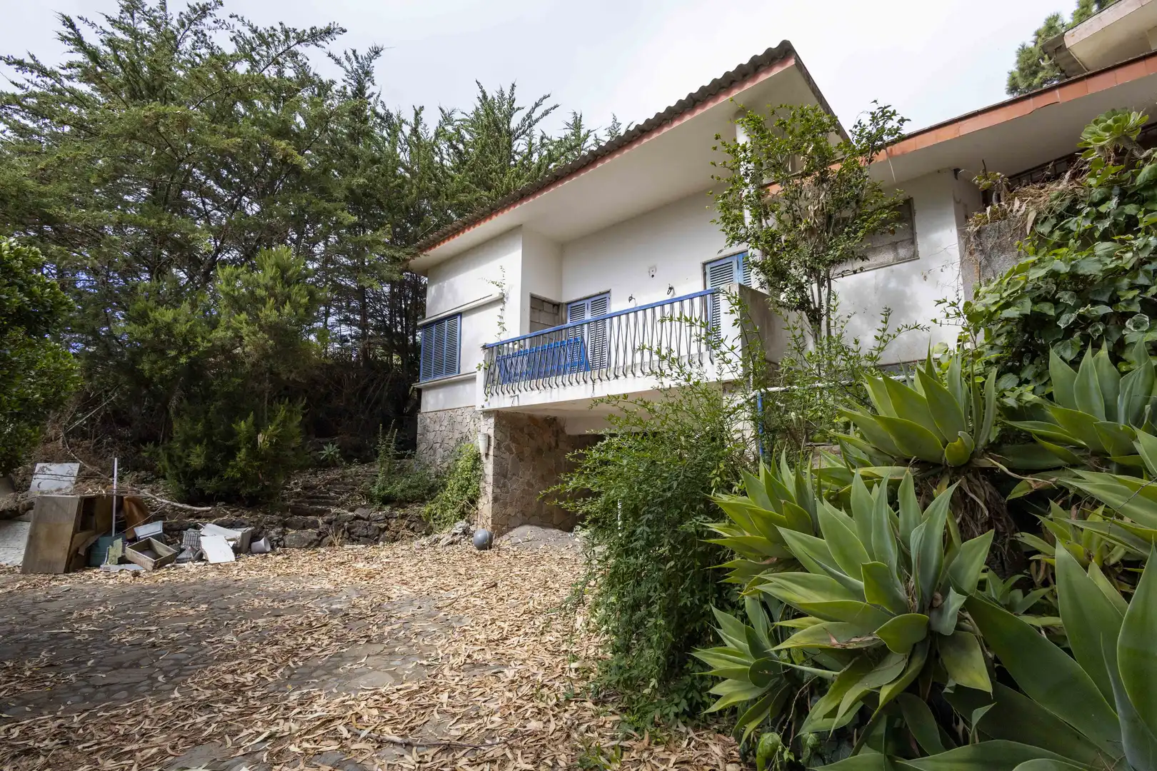 Vista exterior de Casa o chalet en venta en El Rosario