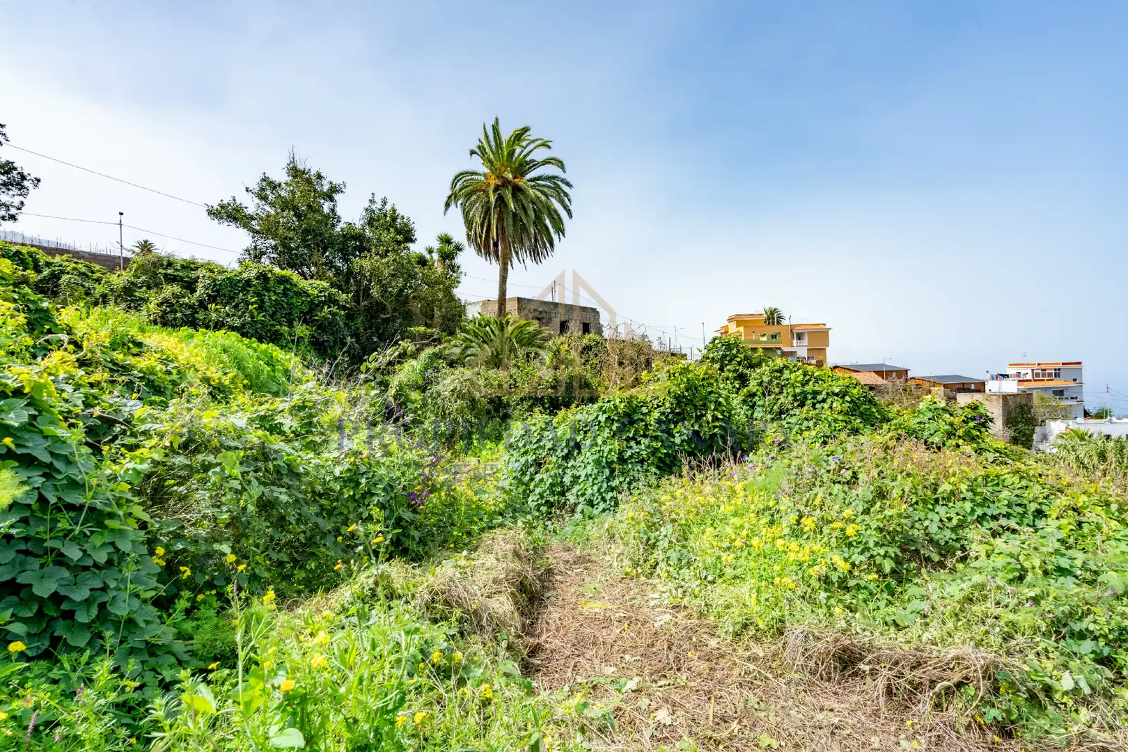 Finca rústica en venda en La Victoria de Acentejo