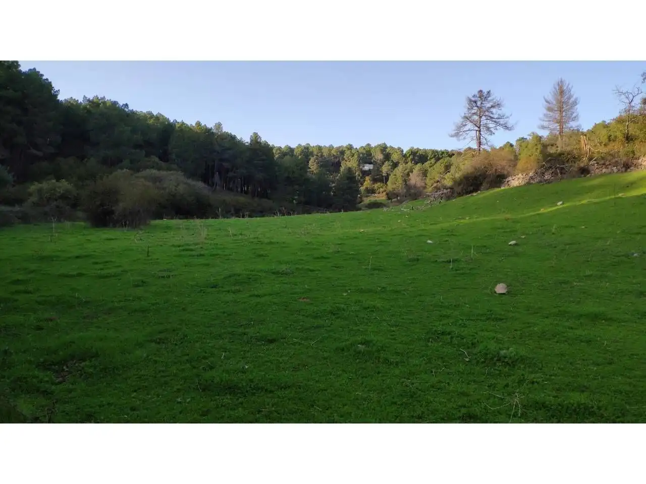 Residencial en venta en Las Navas del Marqués 