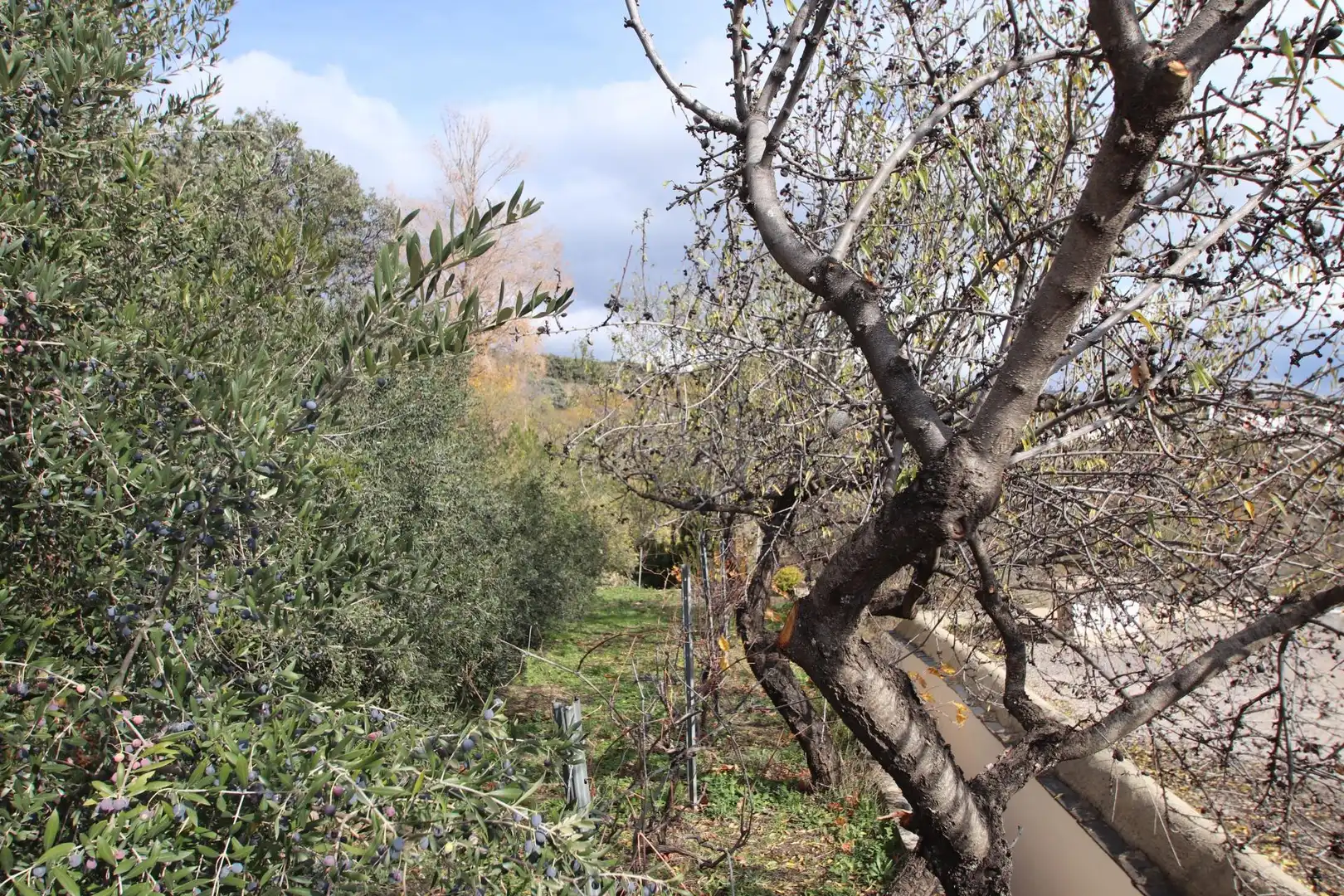 Casa rústica amb jardí en venda a Calle Humilladero 3, imagen 15