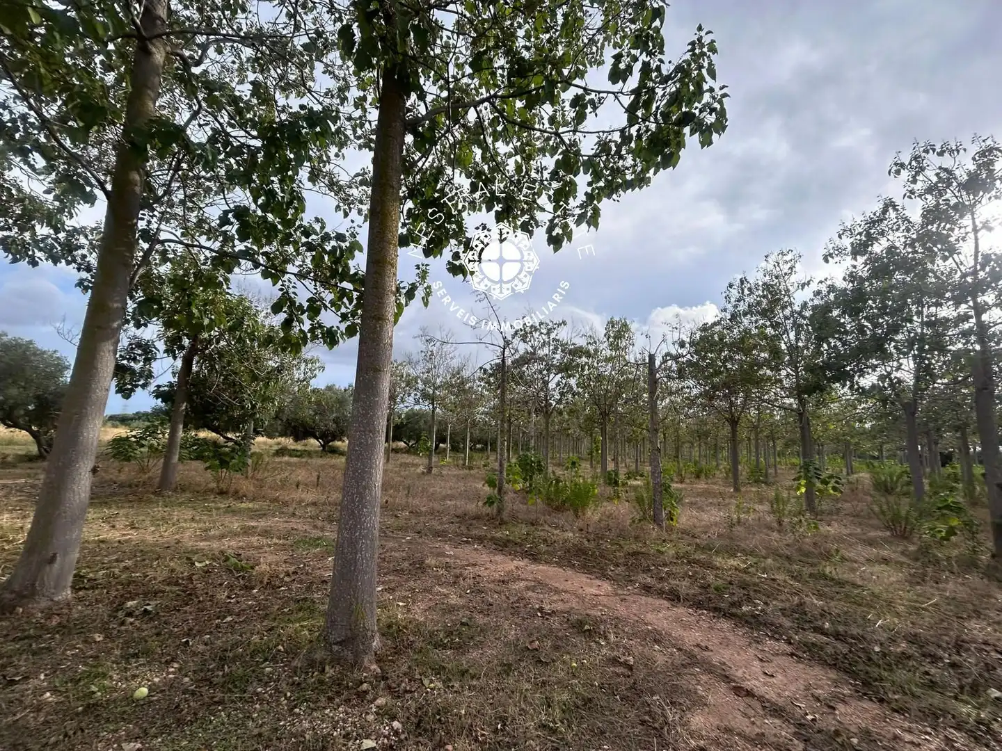 Terreno rustico in vendita a 16, imagen 14