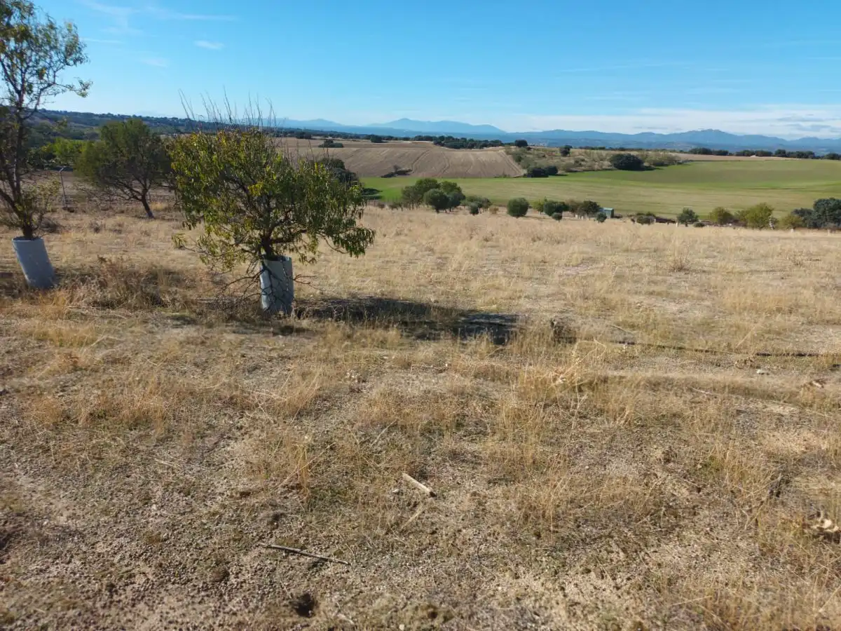 Finca rústica en venta en Brunete