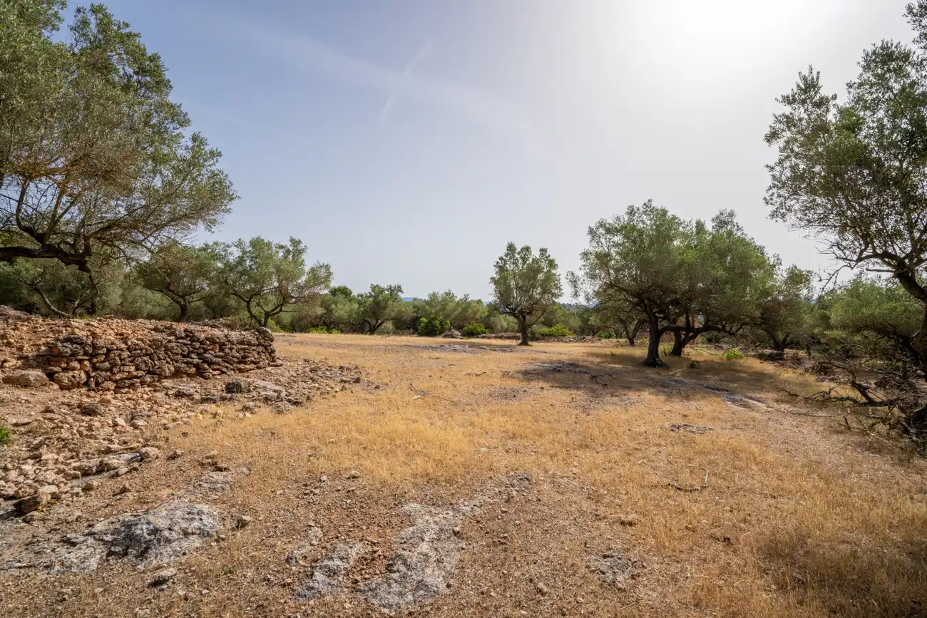 Terreno en venta en El Perelló