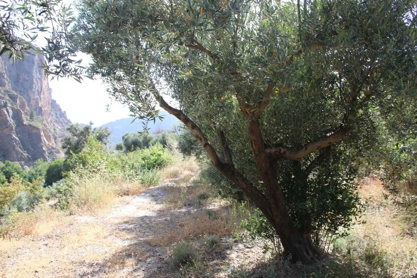 Grundstücke und Bauplätze zum Verkauf in Lanjarón, imagen 5
