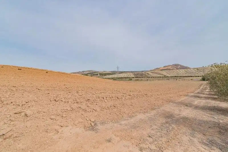 Rustikales Grundstück zum Verkauf in La Malahá, imagen 6