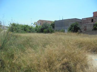 Rustikales Grundstück zum Verkauf in CL Barranc Esquina Avenida del Sur                              parcela D Nº S/N