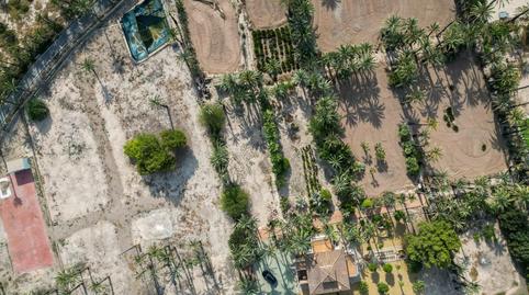 Photo 4 of House or chalet for sale in Alzabares Bajo, Alzabares, Elche / Elx