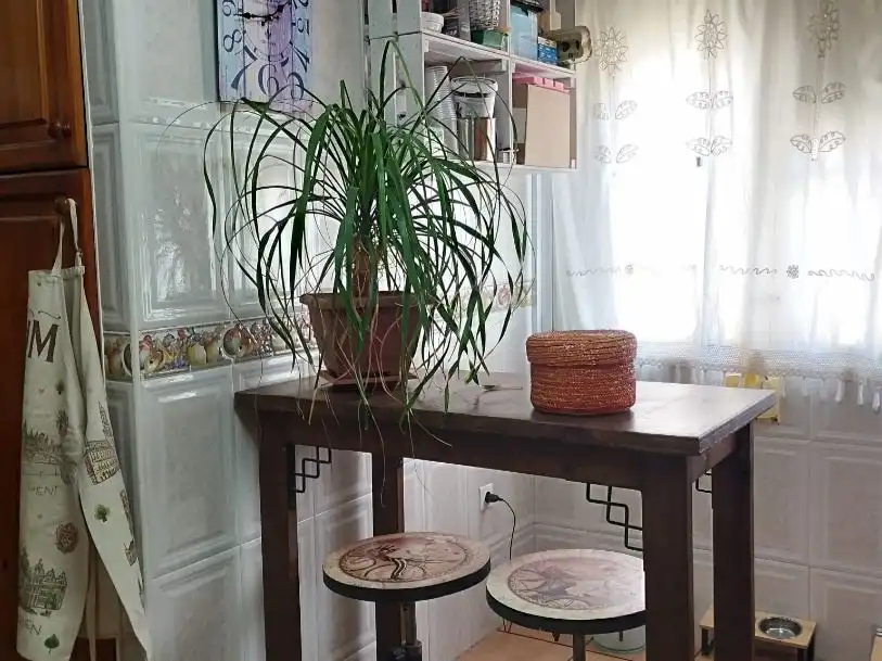 Cocina de Piso en venta en Puerto Real con Aire acondicionado y Terraza