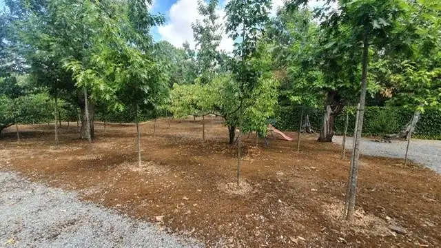 Finca rústica en venda a Camino Iglesia, 3, Carucedo