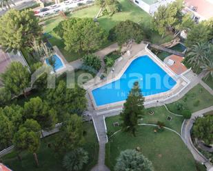 Swimming pool of Study to rent in Benidorm  with Air Conditioner and Swimming Pool