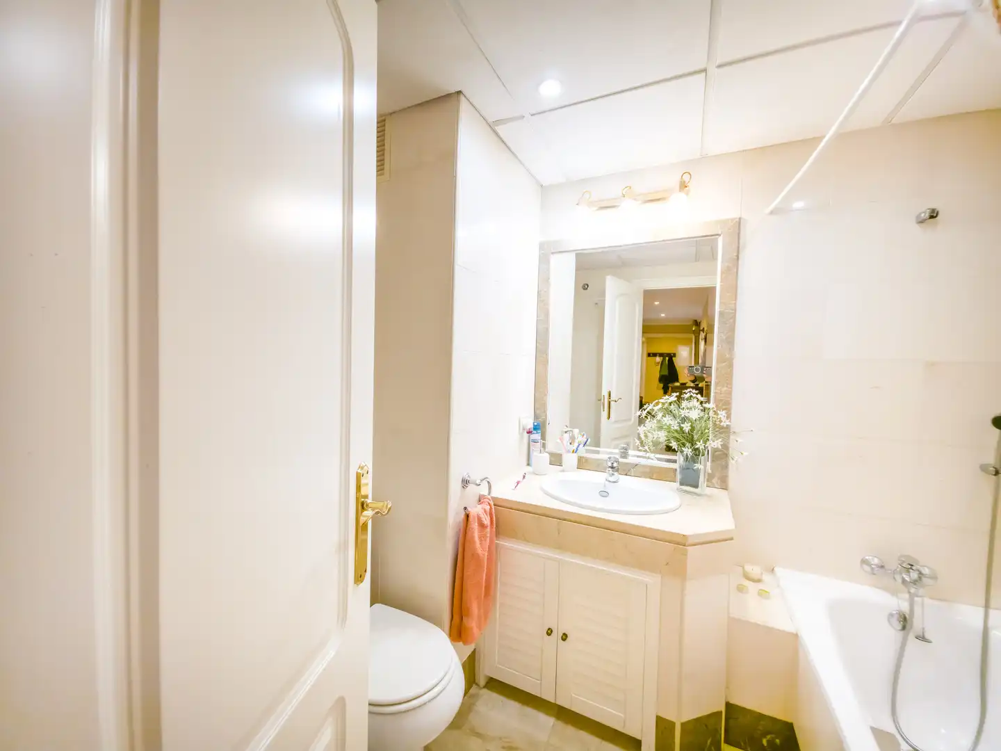 Apartments for sale in Parque María Luisa -Giralda Sur