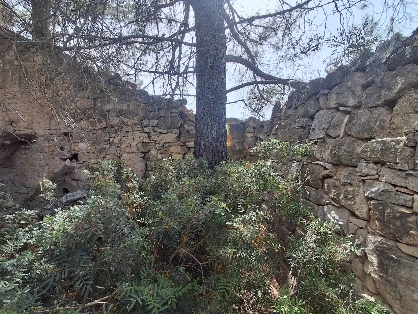 Rural land for sale in Gandesa, imagen 6