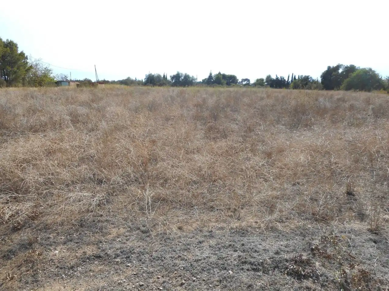 Rural land for sale in Carretera dels emprius, imagen 5