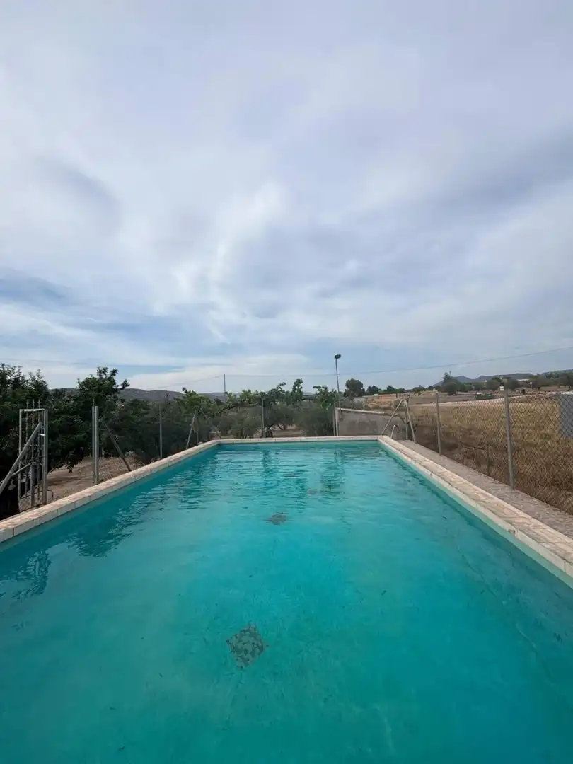Piscina de Finca rústica en venta en Villena con Terraza y Piscina