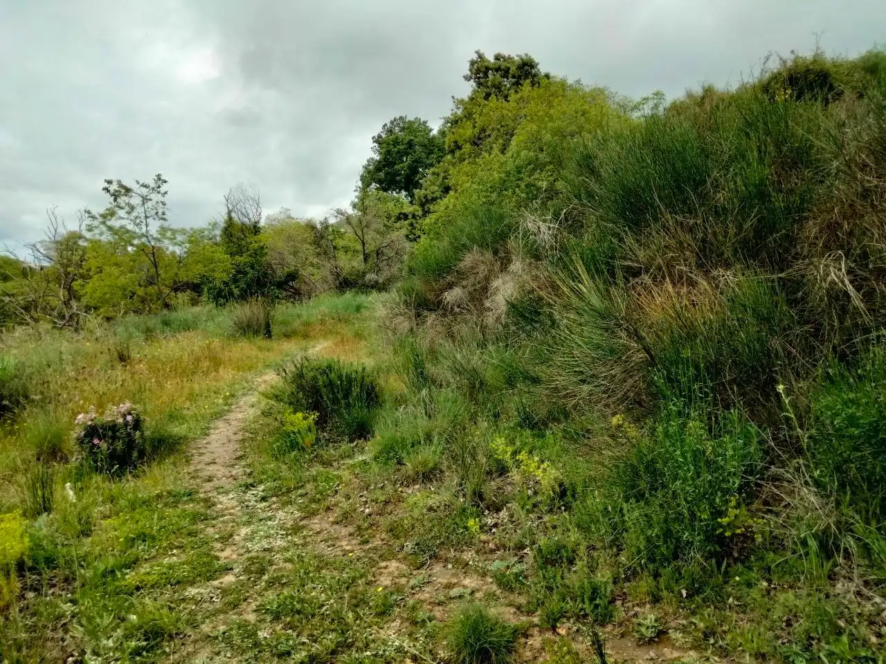 Terreno en venta en Pórtugos
