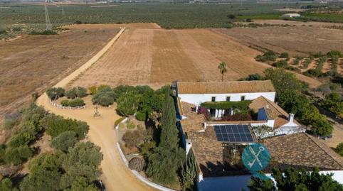 Foto 4 de Finca rústica en venda a La Paz, Sevilla