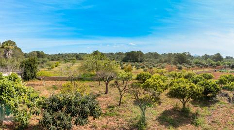 Photo 2 of Country house for sale in Sa Casa Blanca, Illes Balears