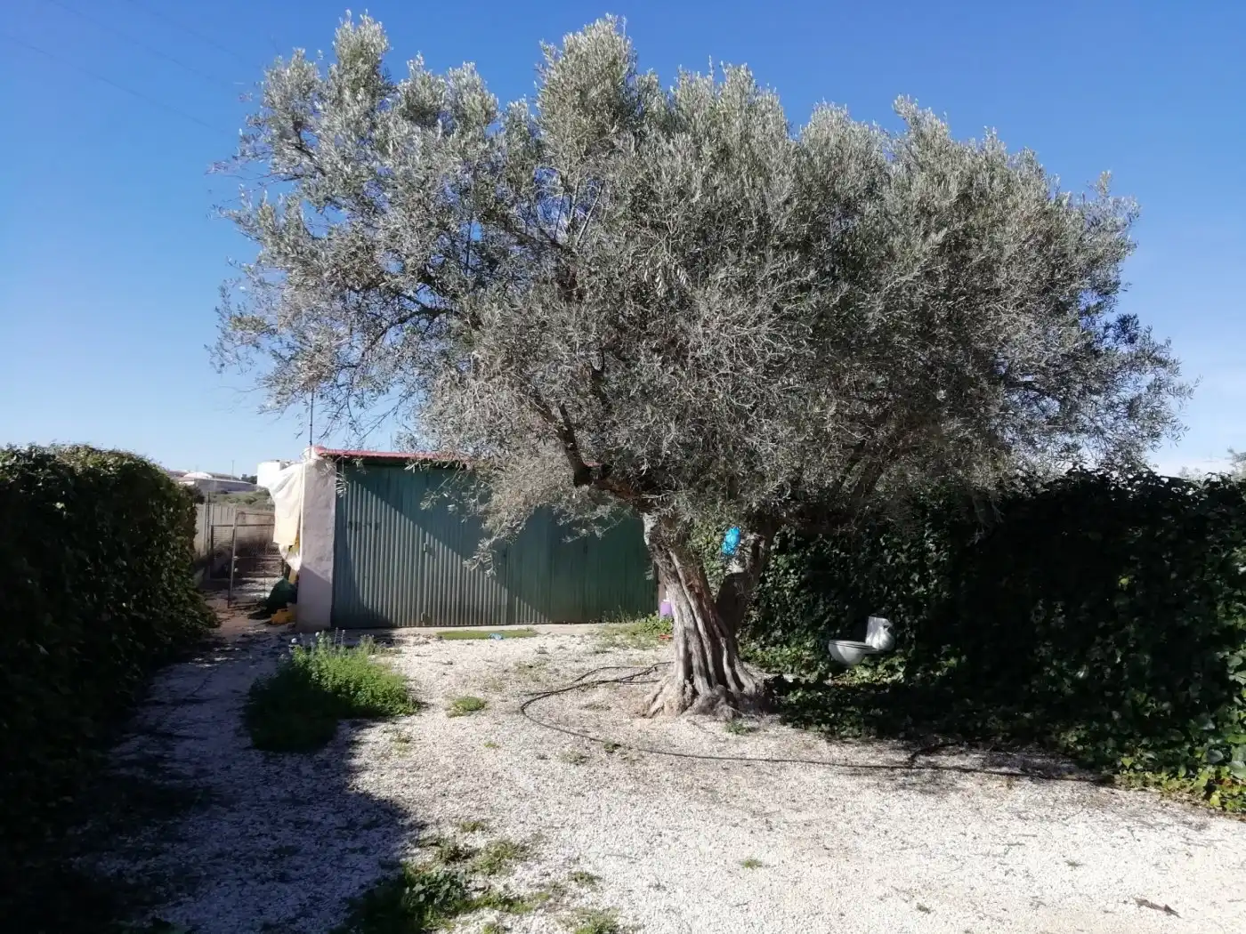 Villa avec terrasse à vendre à Monóvar  / Monòver, imagen 17