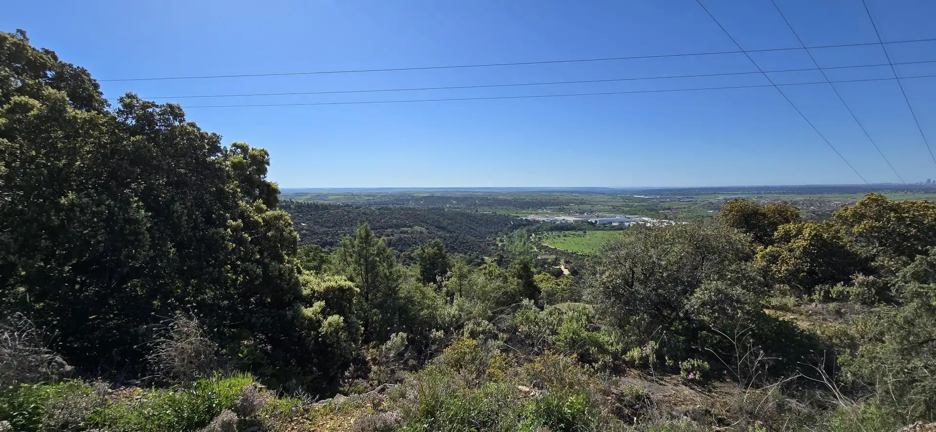 Terrenys i solars en venda a San Agustín del Guadalix pueblo, imagen 16