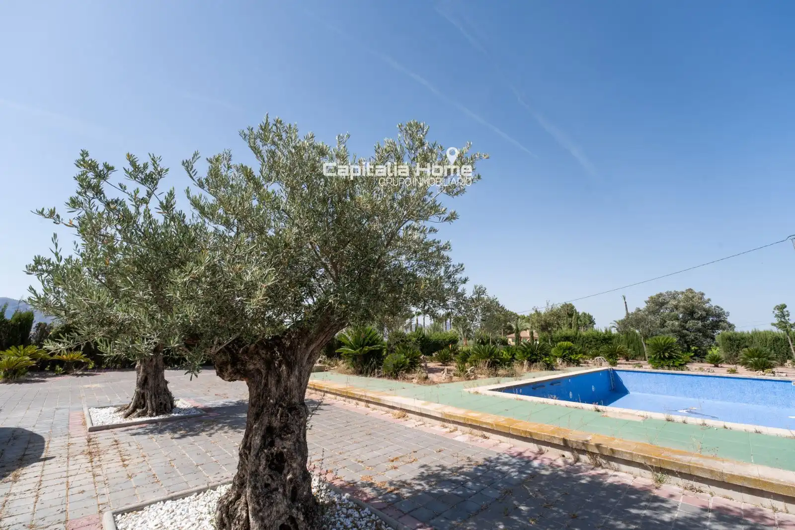 Piscina de Casa o chalet en venta en Orihuela