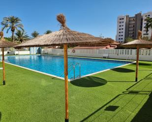 Swimming pool of Flat to rent in El Campello  with Air Conditioner and Terrace