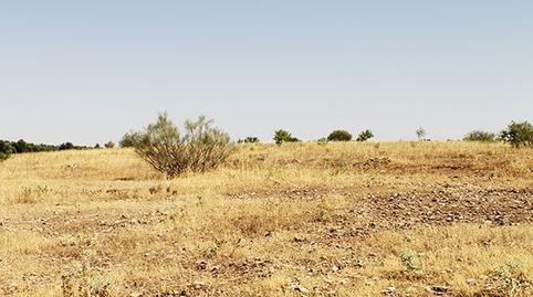 Foto 4 de Residencial en venta en Calle Mayor de San Juan, Almadén, Ciudad Real