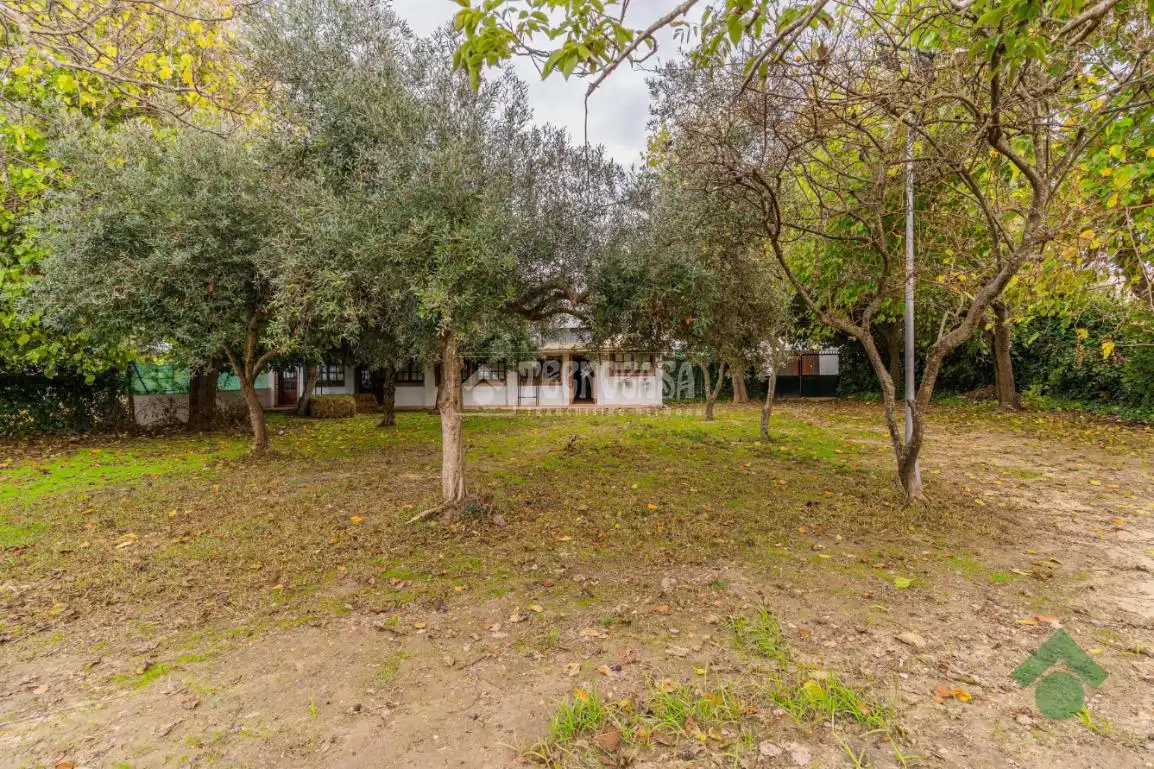 Business premises for sale in El Rocío - La Milagrosa, imagen 3