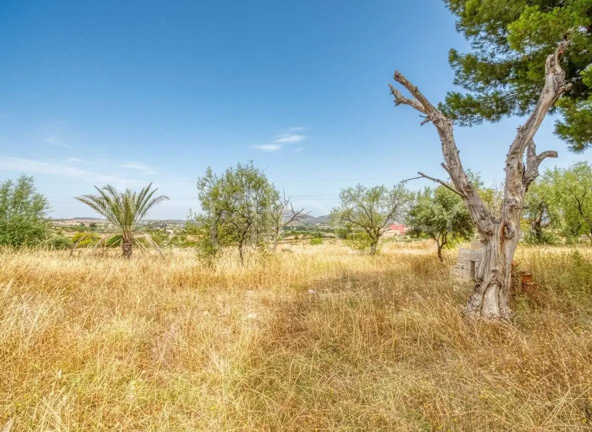 Casa o chalet en venta en Alicante / Alacant con Aire acondicionado, Terraza y Trastero