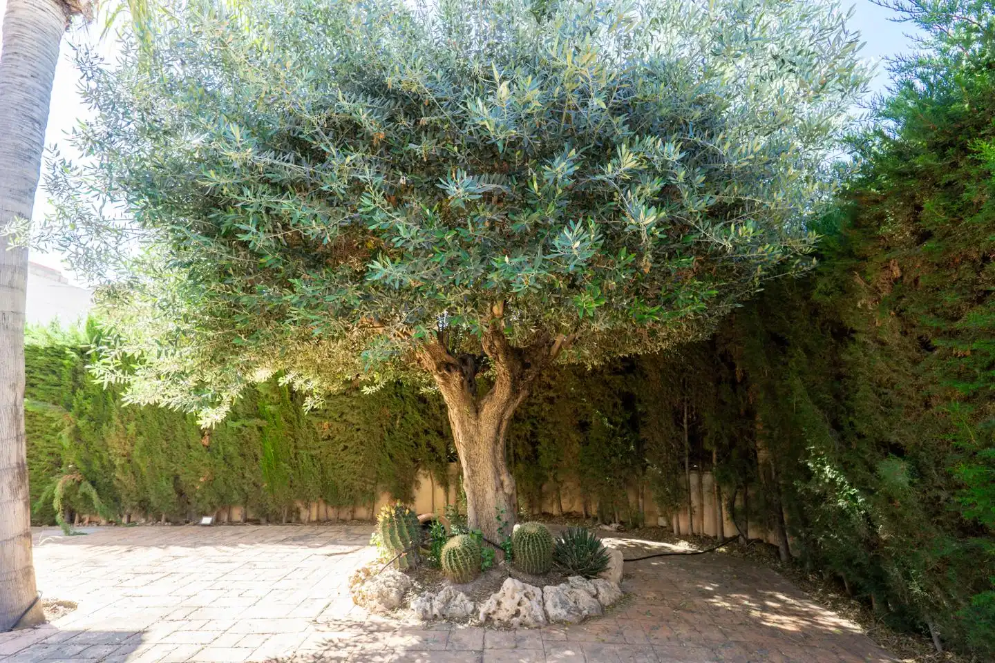 Jardín de Casa o chalet en venta en Cox con Aire acondicionado, Jardín privado y Parquet