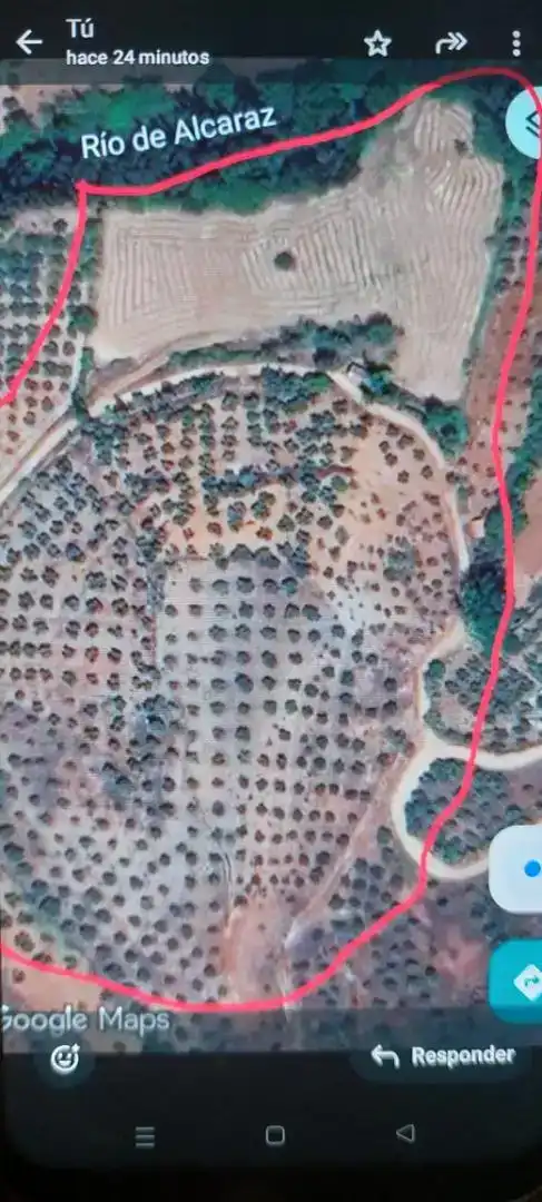 Finca rústica en venda en Alcaraz, Albacete