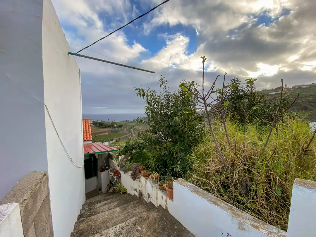 Vista exterior de Finca rústica en venta en Moya (Las Palmas)