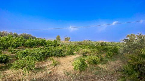 FINCA DE USO AGRARIO CON CASA  EN COÍN. MÁLAGA, imatge 3