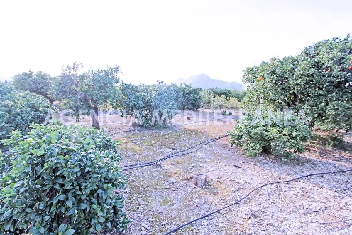 Chalet con jardín en venta en Ondara, imagen 16