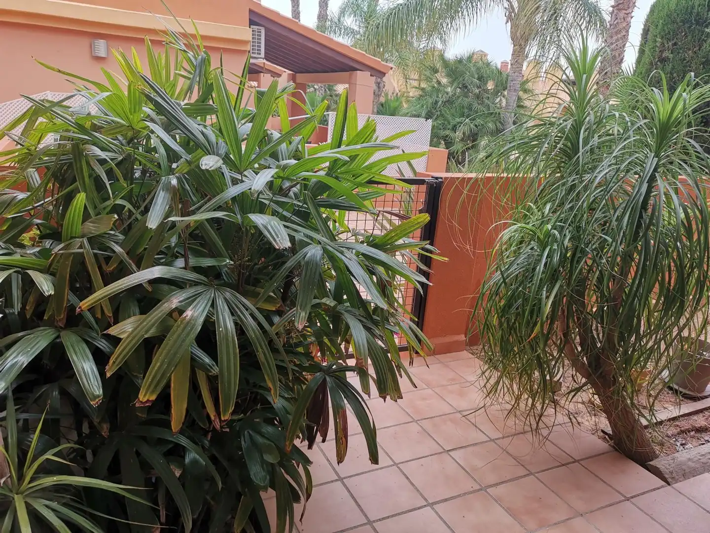 Terrassa de Apartament de lloguer en Cartagena amb Aire condicionat, Calefacció i Terrassa