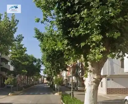 Pis en venda a Avenida CATORCE DEL