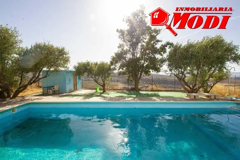 Piscina de Casa o xalet en venda en Moraleda de Zafayona amb Aire condicionat i Piscina